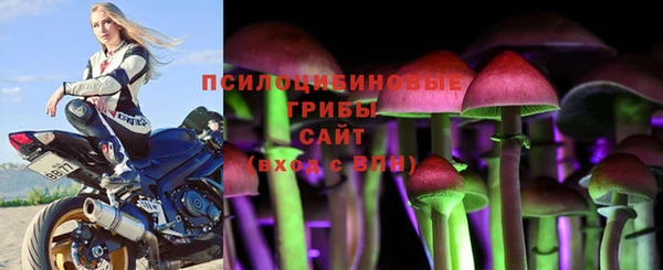 apvp Лабытнанги