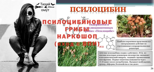 apvp Лабытнанги
