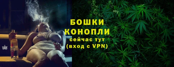 дживик Ладушкин