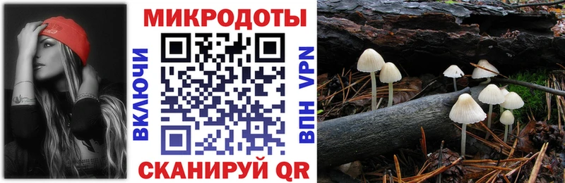 магазин продажи наркотиков  Грозный  Галлюциногенные грибы мухоморы 