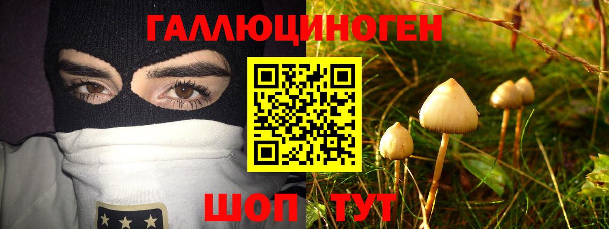закладка  Вход с VPN  Грозный  Галлюциногенные грибы Psilocybe  Псилоцибиновые грибы Magic Shrooms 