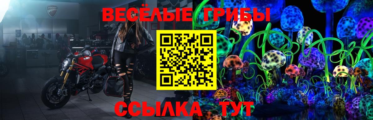 Галлюциногенные грибы Psilocybine cubensis Грозный