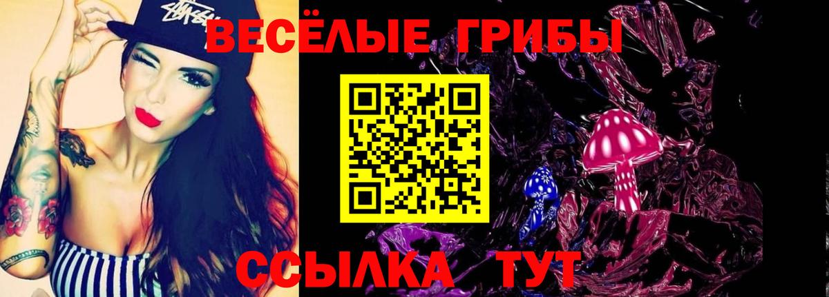 Галлюциногенные грибы мицелий  магазин    Галлюциногенные грибы Psilocybe  Грозный 