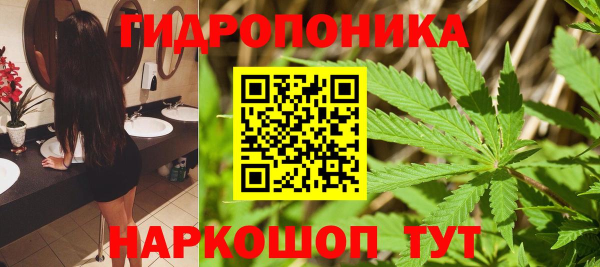 Бошки марихуана Amnesia Грозный